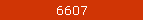6607