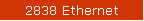 2838 Ethernet