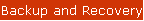 Backup and Recovery