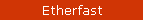 Etherfast