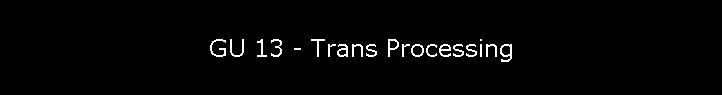 GU 13 - Trans Processing