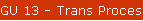 GU 13 - Trans Processing