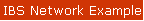IBS Network Example