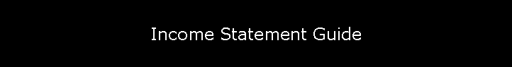 Income Statement Guide