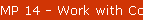 MP 14 - Work with Configuration Status