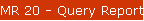 MR 20 - Query Reports Menu
