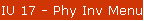 IU 17 - Phy Inv Menu