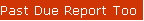 Past Due Report Too Long