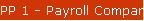 PP 1 - Payroll Company Setup