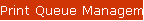 Print Queue Management