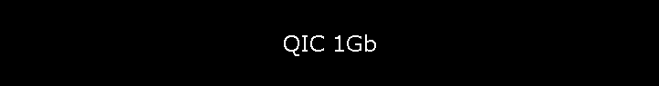 QIC 1Gb