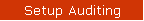 Setup Auditing