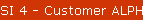 SI 4 - Customer ALPHA (name) Inquiry