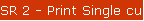 SR 2 - Print Single customer Statement