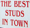 lumber ad 'The best studs in town'